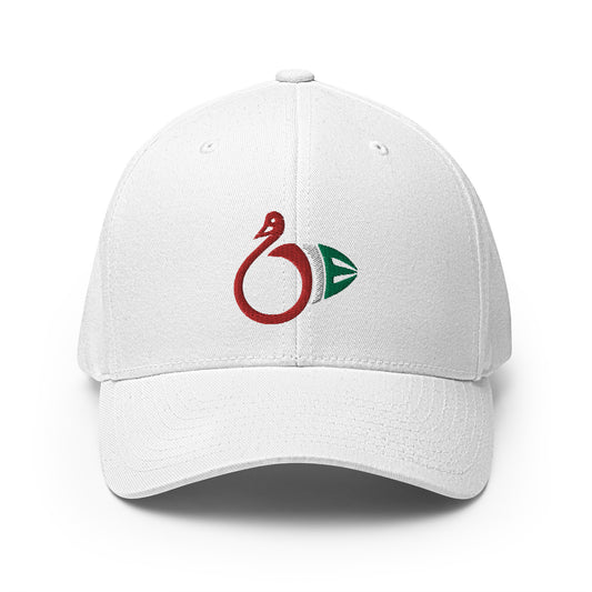 Structured Twill Cap